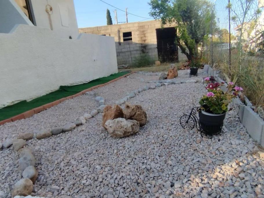 Garden N1 Apartment *
